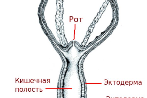 Украли аккаунт кракен