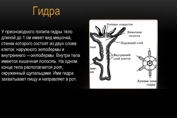 Кракен сайт дарк нет